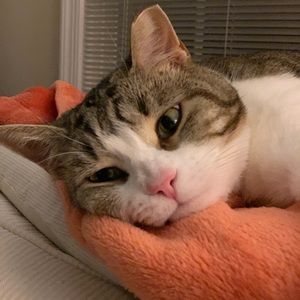 Meet your Posher, Ellen